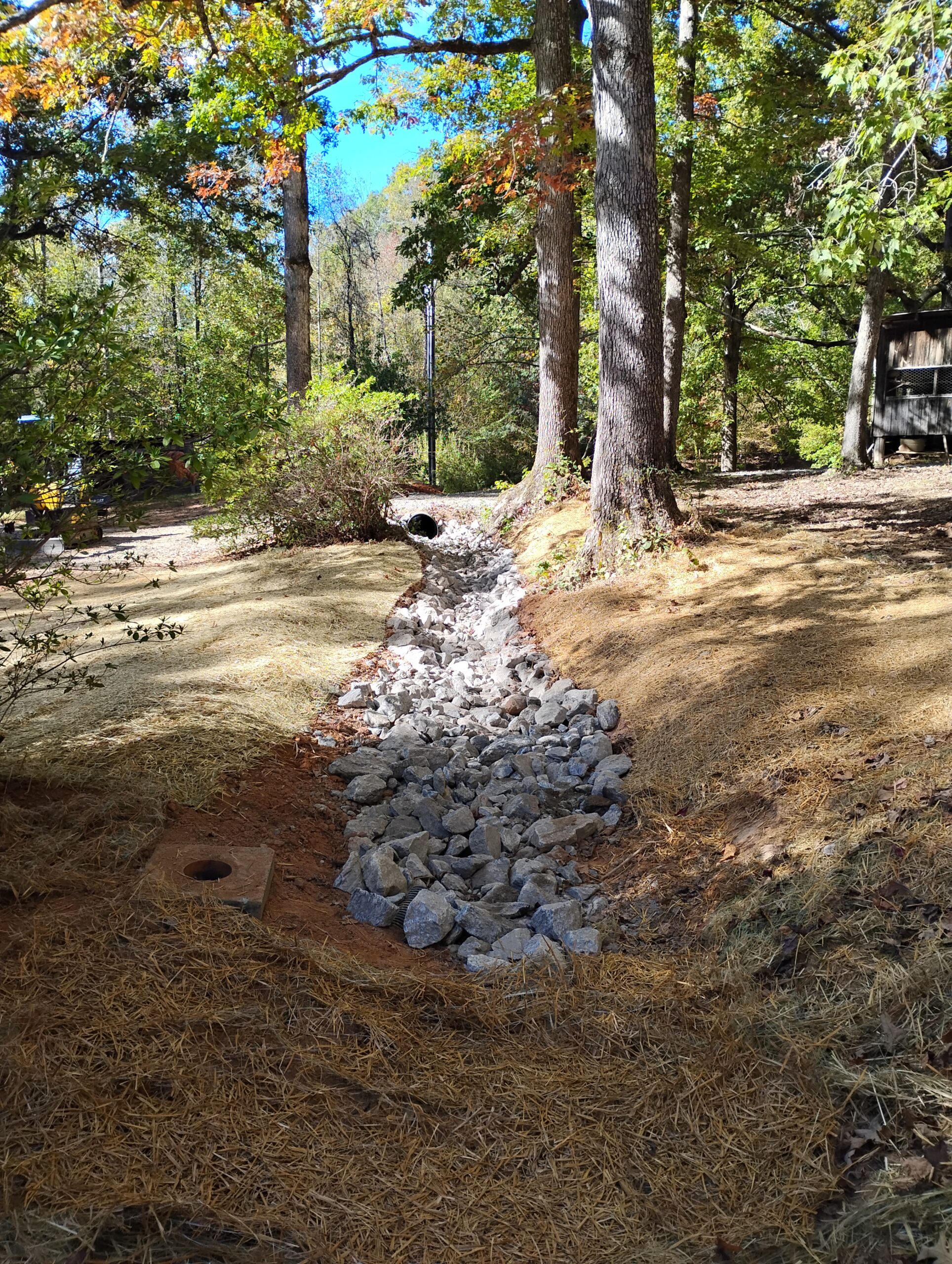 img 20251017 150117166